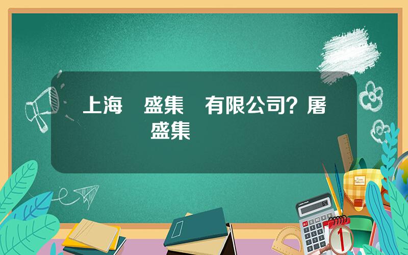 上海國盛集團有限公司？屠鏇鏇 國盛集團